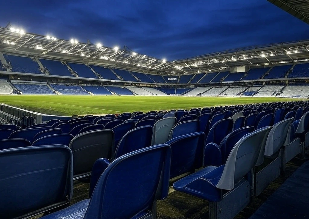 Amex stadium illustration tribunes vides