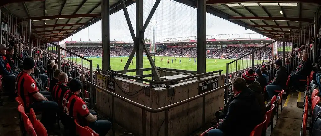 Pire endroit où s'asseoir au Vitality Stadium background image